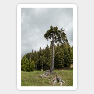 View from Bucegi mountains, Romania, Bucegi National Park Sticker